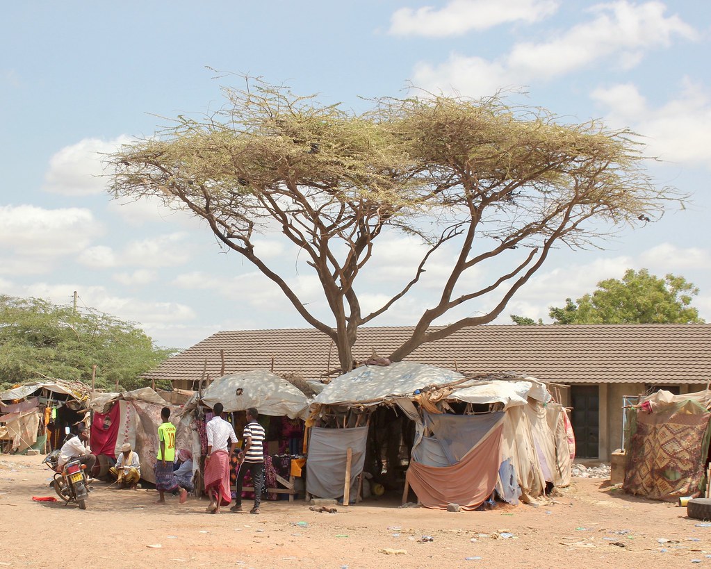 43818301444_e01e681dc7_b